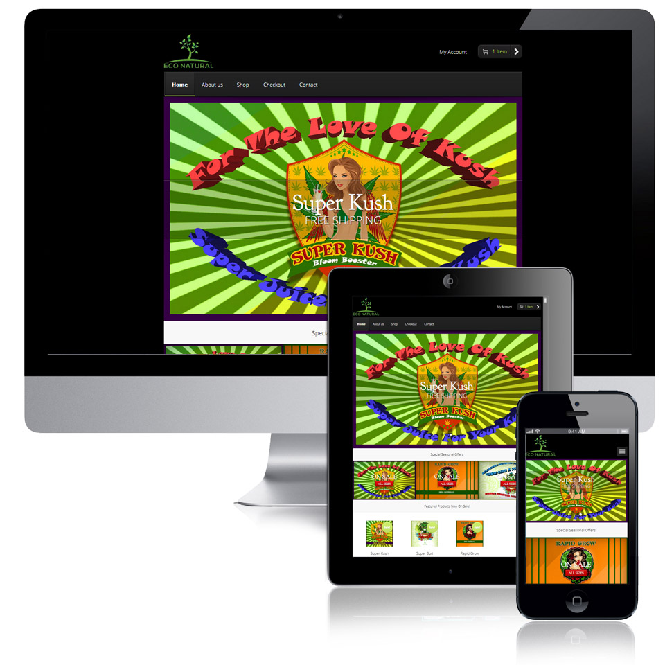 wordpress web design, Website designer, website, design